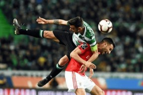 米乐体育官网-包含博洛尼亚客场逆转帕尔马，取得关键胜利的词条